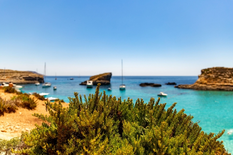 Malta: Kreuzfahrt Blaue Lagune, Comino & St. Pauls Inseln