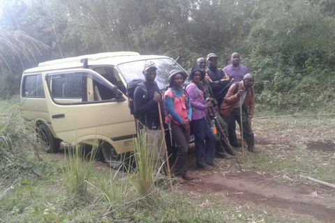 De Nairobi: excursion d'une journée au parc national Hell's GateOption standard