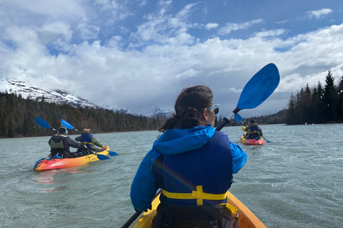 Seward Area Glacial Lake Kayaking Tour 1.5 hr from Anchorage Moose Pass: Kayaking Tour on Glacial Trail Lake