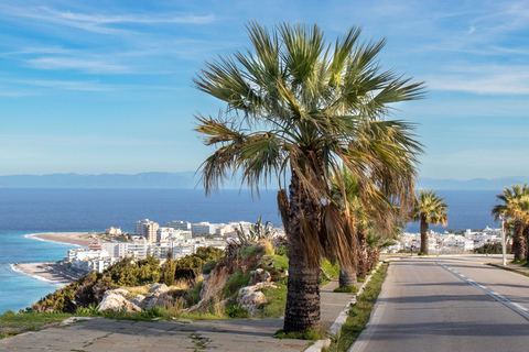 Rhodes Town and Lindos: Private Minibus Tour 1-3 Persons Group
