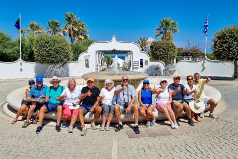 Rhodes Town and Lindos: Private Minibus Tour