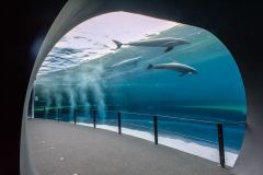 Genua: Aquarium & Christoph Kolumbus' Haus Eintrittskarten