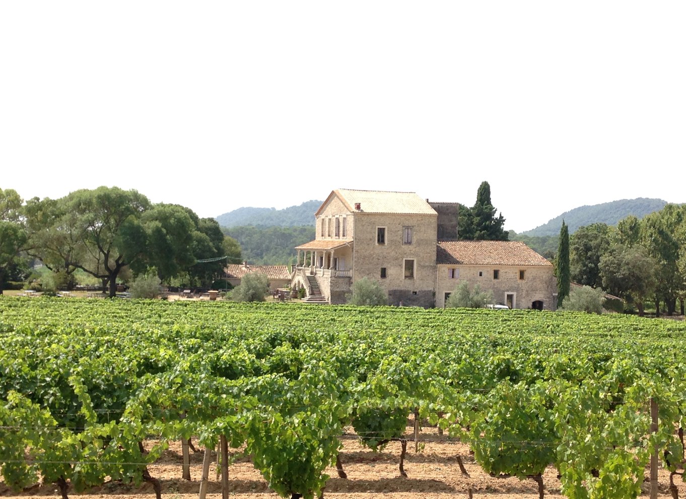 Fra Montpellier: Pic Saint-Loup vin- og madtur