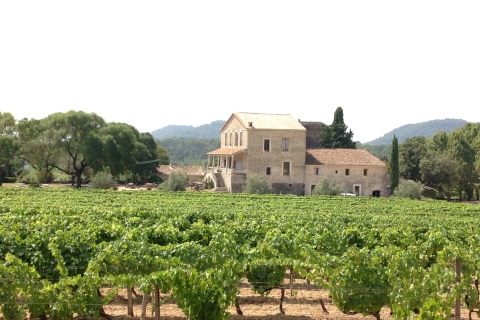 Vanuit Montpellier: Pic Saint-Loup Wijn en culinaire tour