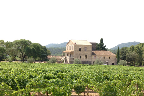 Von Montpellier aus: Pic Saint-Loup Wein- und Foodtour