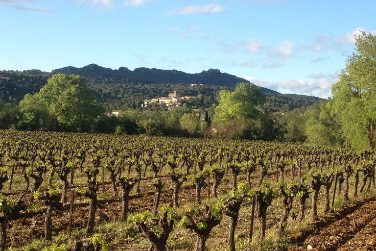 Von Montpellier aus: Pic Saint-Loup Wein- und Foodtour