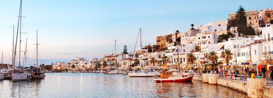 Punti salienti di Naxos con visita e degustazioni all'oliveto
