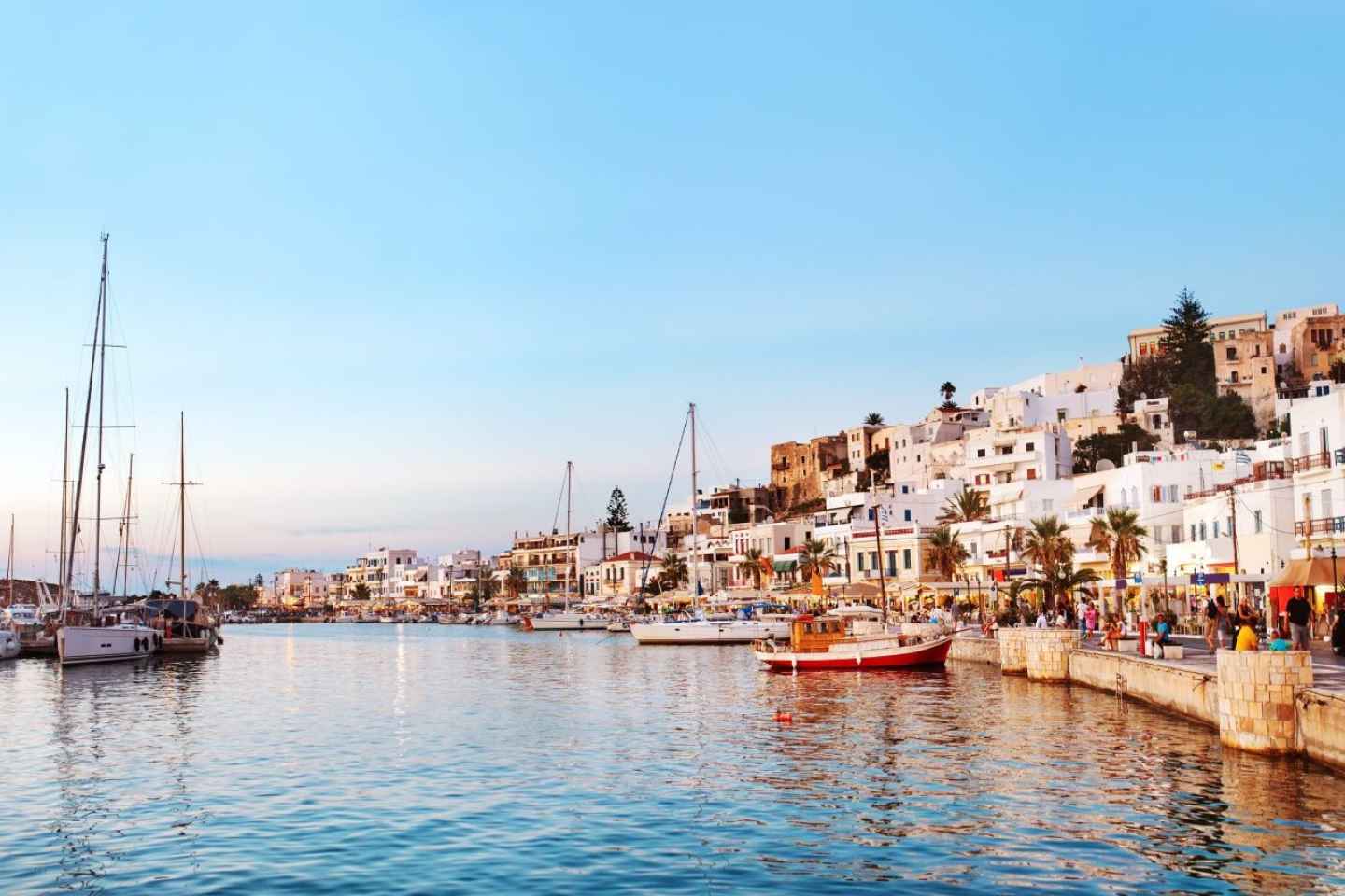 Naxos: Højdepunkter Tour og olivenoliesmagning