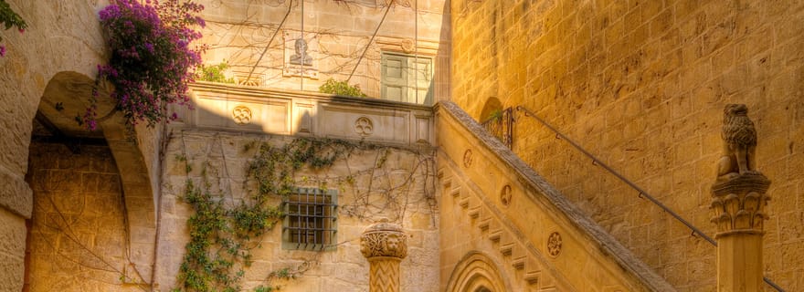 Billet d'entrée au musée de la maison historique Palazzo Falson