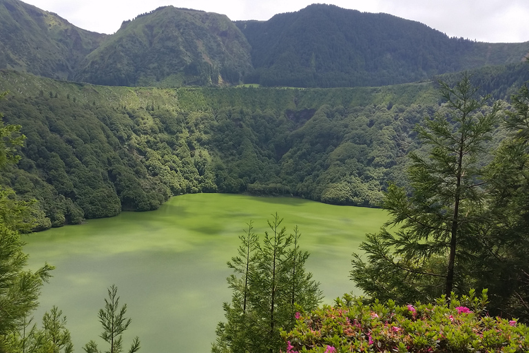 From Ponta Delgada: Sete Cidades Lakes & Fire Lake Day Tour