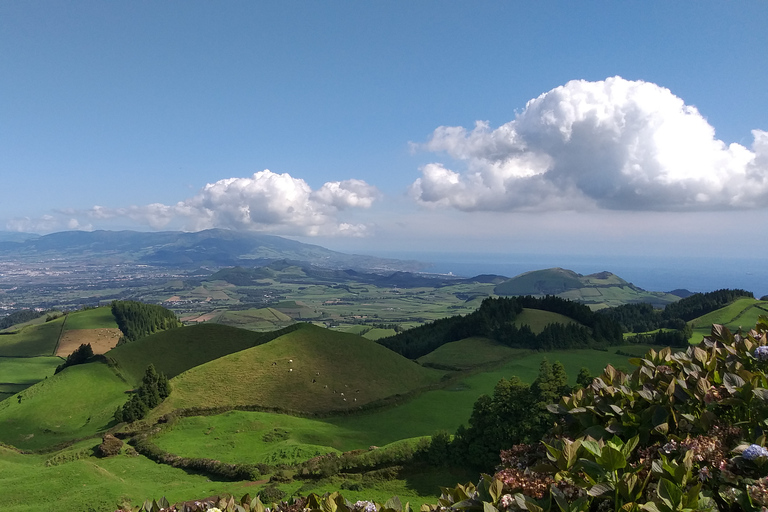 From Ponta Delgada: Sete Cidades Lakes & Fire Lake Day Tour