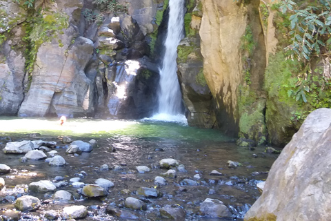 Desde Ponta Delgada: Excursión de un Día a los Lagos de Sete Cidades y el Lago de Fuego