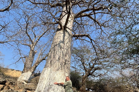 Excursão a leste de Salalah: Experimenta a cidade de Taqa e o estilo de vida na montanha