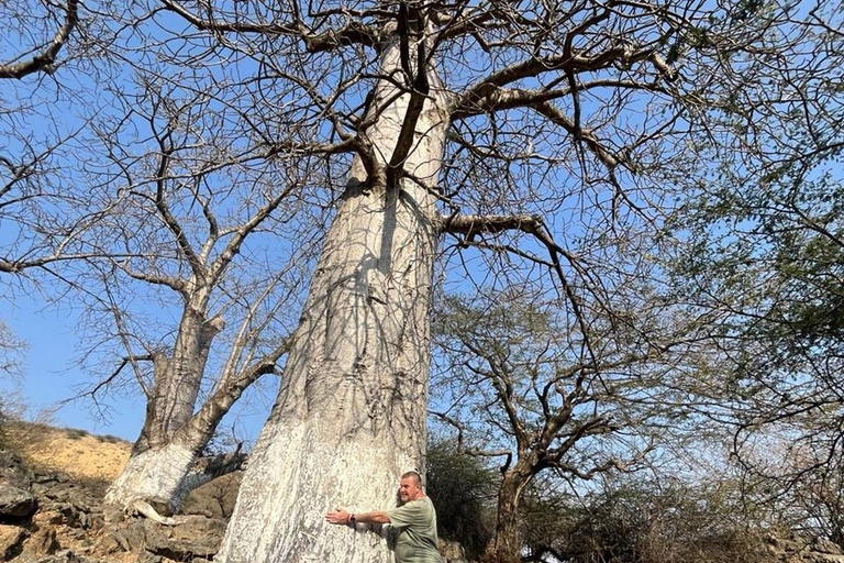 East Salalah Tour: Poznaj miasto Taqa i górski styl życia