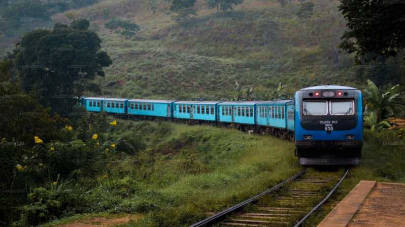 From Kandy: Nuwara Eliya by Train
