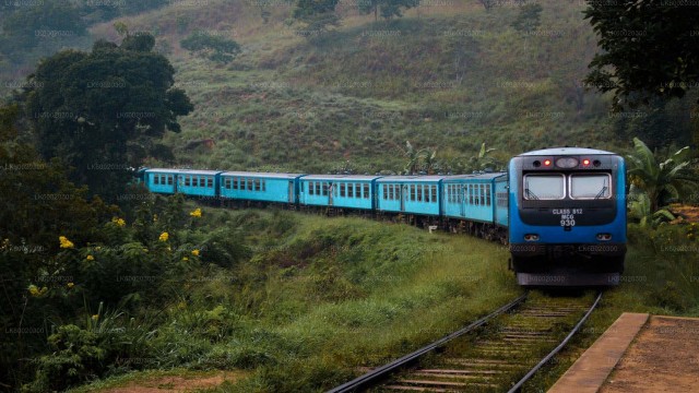 Visit From Kandy Nuwara Eliya by Train in Ella