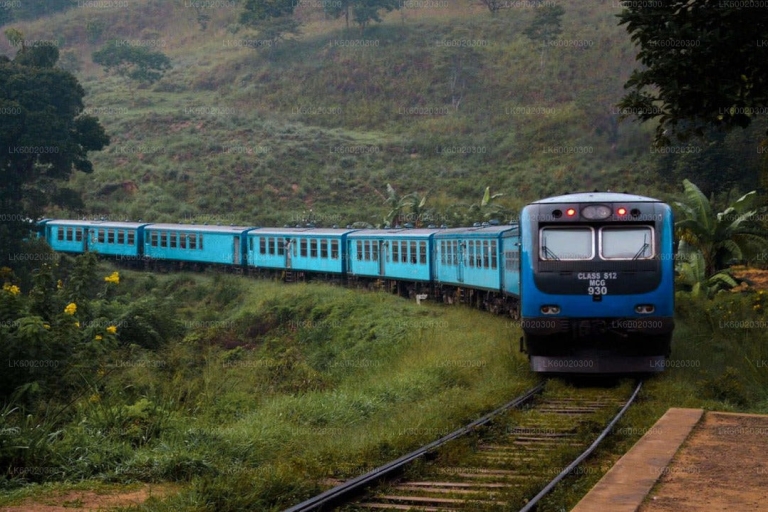 Z Kandy: Nuwara Eliya pociągiemZ Kandy: Nuwara Elija pociągiem