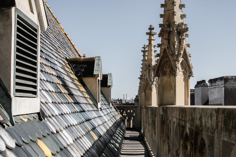 Vienna: Secrets of the St. Stephan's Cathedral