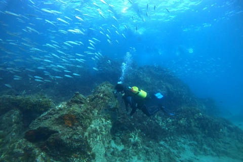 Depuis Lanzarate : plongée d'initiation à l'aventure à 6 mètres