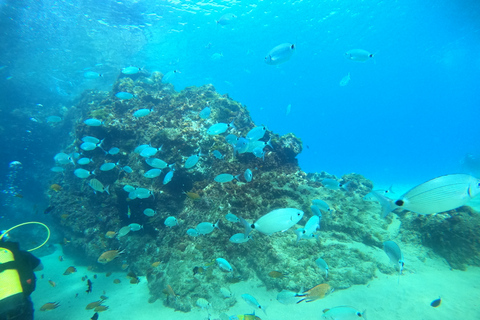 Desde Lanzarote: buceo de aventura introductorio a 6 metros