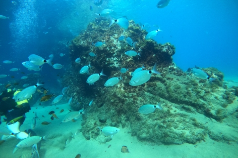 Van Lanzarate: inleidende avontuurlijke duik op 6 meter