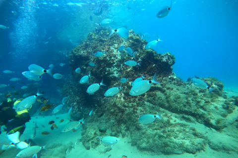 From Lanzarate: Introductory Adventure Dive at 6 Meters