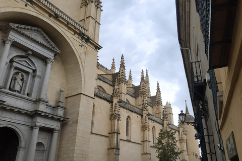 Desde Madrid: Excursión de un día con guía a Segovia, Alcázar opcionalExperiencia en Segovia