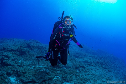 Santa Cruz de Tenerife: Introductory Diving Course & 2 Dives