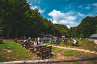 From Split, Plitvice Lakes Guided Day Tour with Tickets - Housity