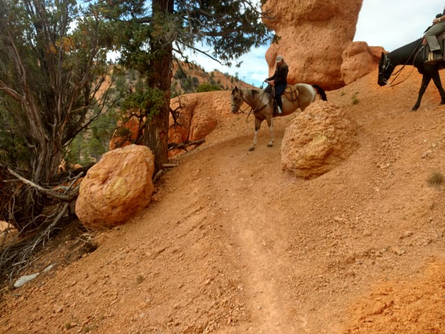 Visit Thunder Mountain Trail Scenic Horseback Ride in Bryce Canyon