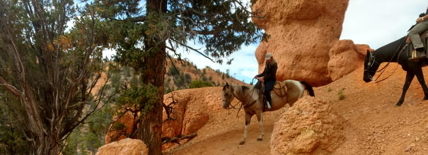 Thunder Mountain Trail : Promenade pittoresque à cheval