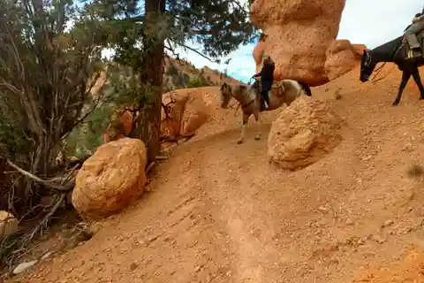 Thunder Mountain Trail: Scenic Horseback Ride