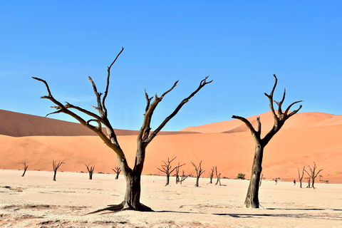 Excursão a Sossusvlei e Swakopmund: 5 dias