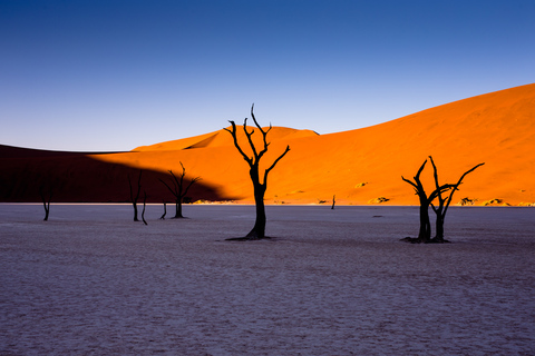 Wycieczka do Sossusvlei i Swakopmund: 5 dni