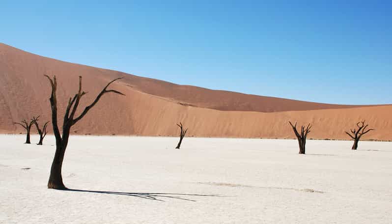 Galería de fotos para redes