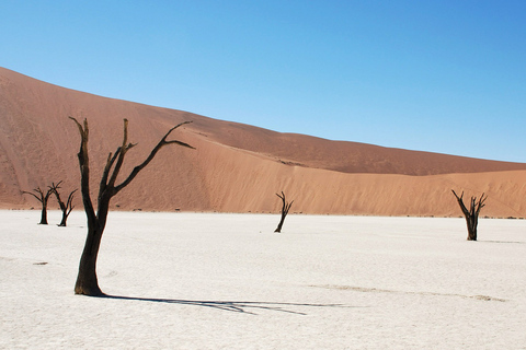 Sossusvlei &amp; Swakopmund Tour: 5 Days