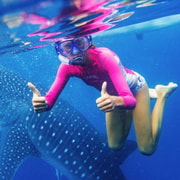 Cebu Shared Day Tour: Oslob Whale Sharks & Tumalog Falls