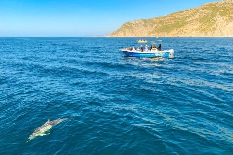 Sesimbra: dolfijnen spotten in natuurpark Arrábida