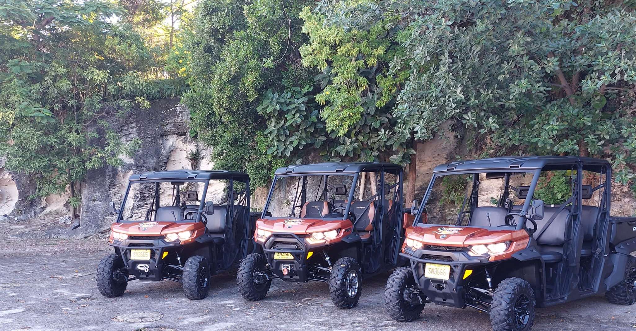 Nassau 6Seater Beach Buggy Rental Nassau, Bahamas TourMega
