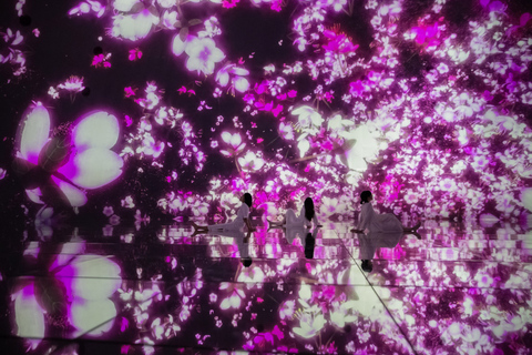 teamLab Planets TOKYO: Bilet wstępu do Muzeum Sztuki Cyfrowej