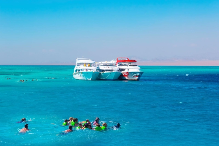 Sharm El Sheikh: Schnuppertauchen in Ras Mohamed & White Island