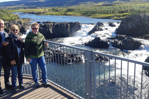 From Reykjavik: Borgarfjordur Private Day Trip