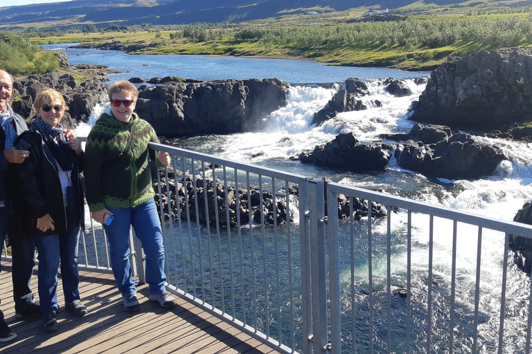 De Reykjavik: viagem particular de um dia a Borgarfjordur