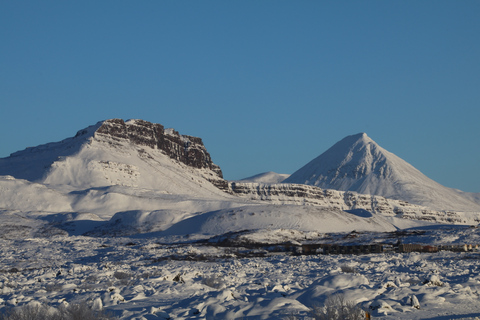 Z Reykjaviku: prywatna wycieczka do Borgarfjordur