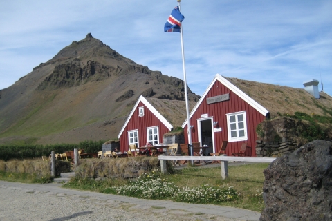 Ab Reykjavik: Privater Tagesausflug nach Snæfellsnes