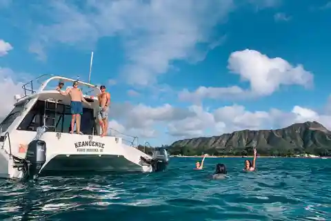 Oahu: Private Turtle Snorkeling with Customizable Itinerary
