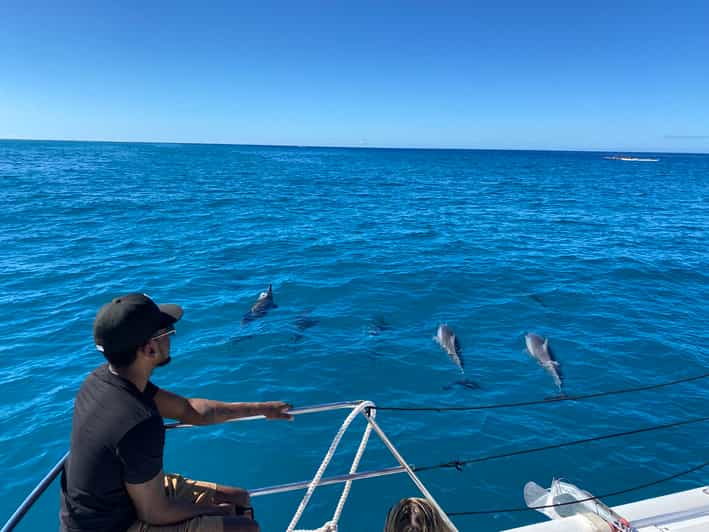 best catamaran snorkeling oahu