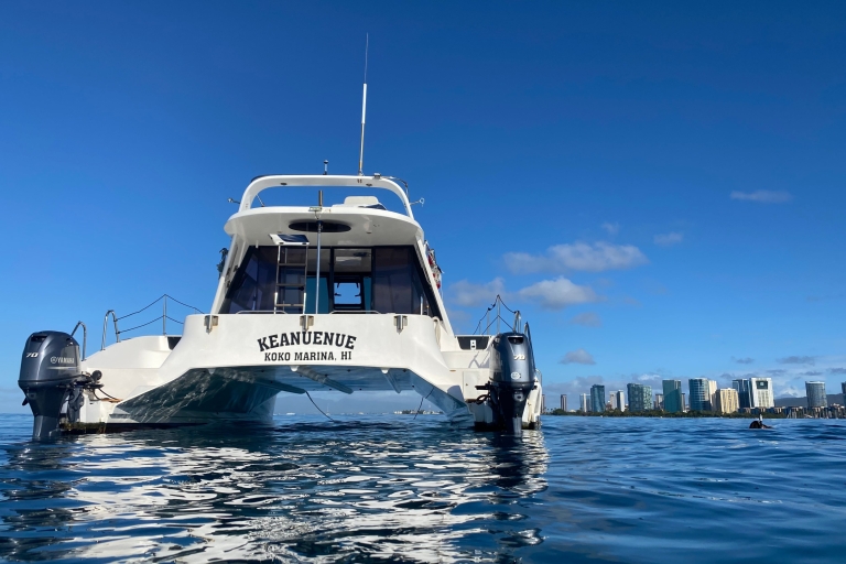 Honolulu: Prywatny rejs katamaranem z nurkowaniem