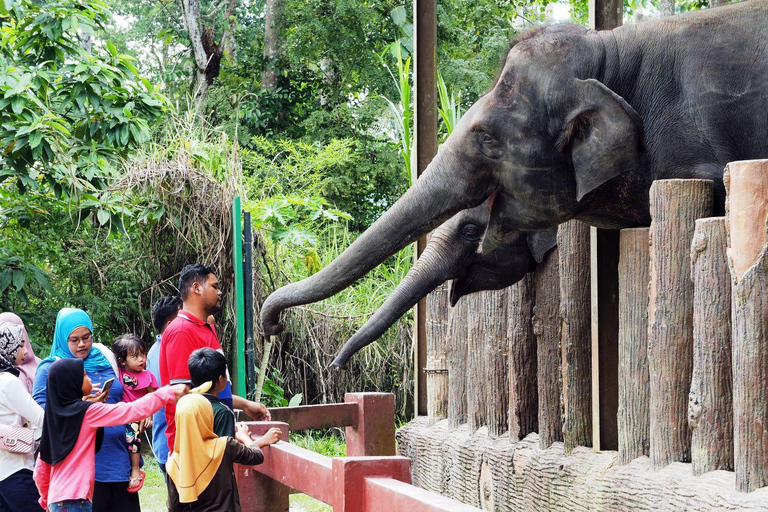 Excursion d'une journée à Kuala Lumpur : grottes de Batu et sanctuaire des éléphants