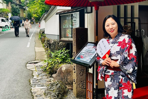 كيوتو/نارا: جولة عائلية ممتعة وثقافية بالسيارة مع خدمة التوصيل من الفندق